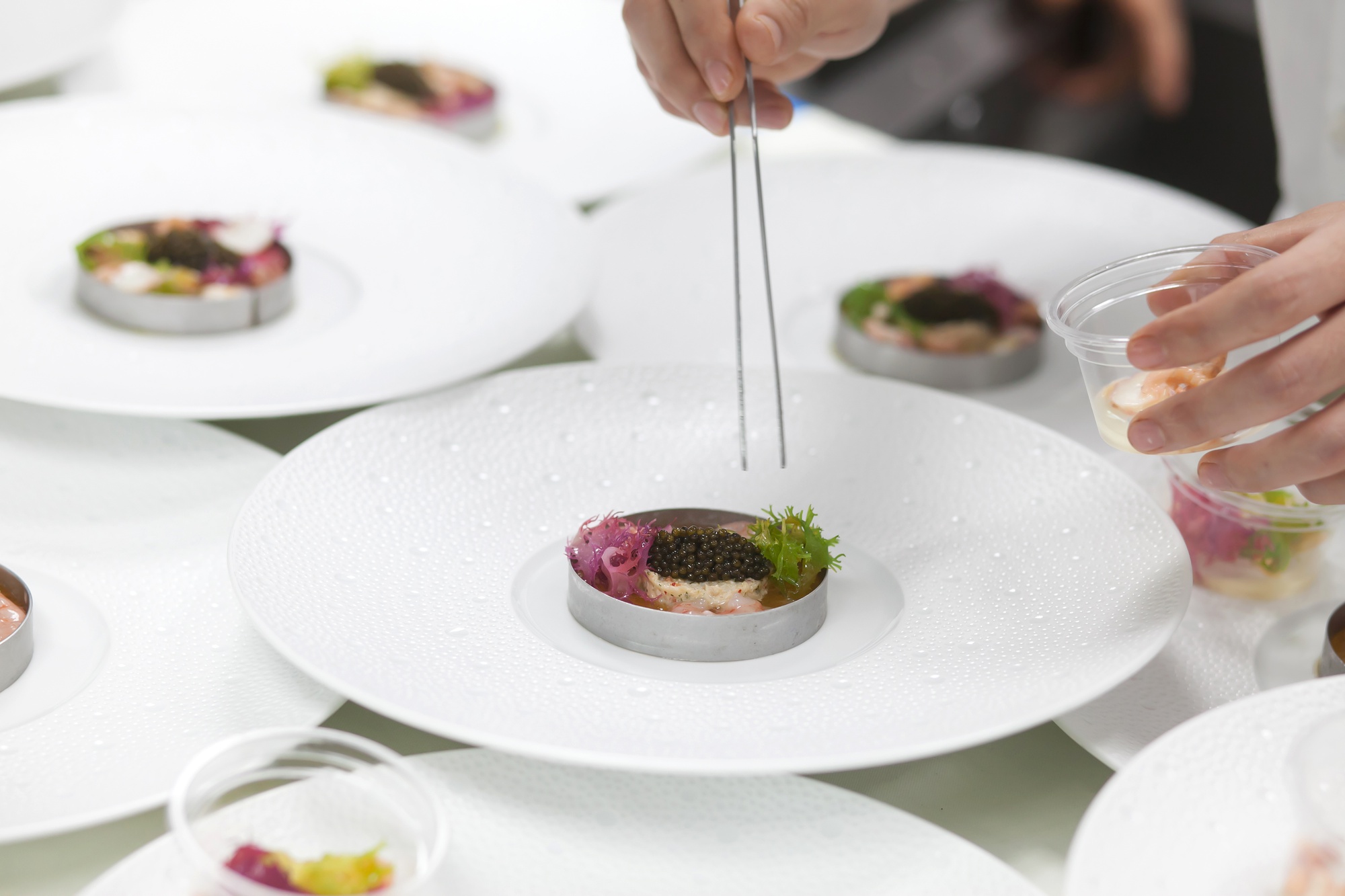 Setup of plated dishes for event